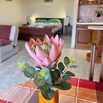 Savelij Apartment