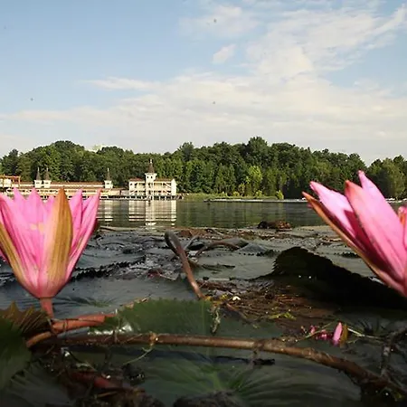 Апартаменты Savelij