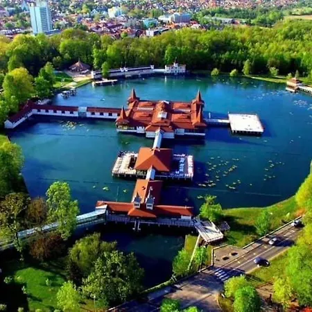 Апартаменты Savelij Хевиз