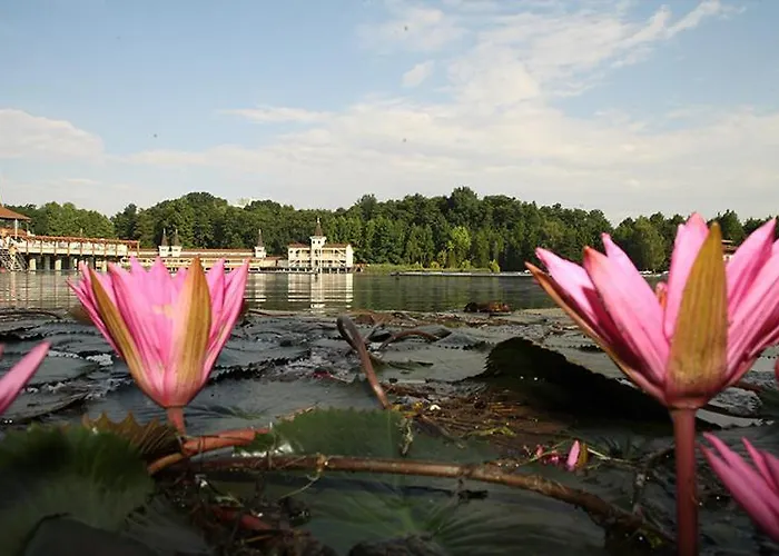 Appartamento Savelij