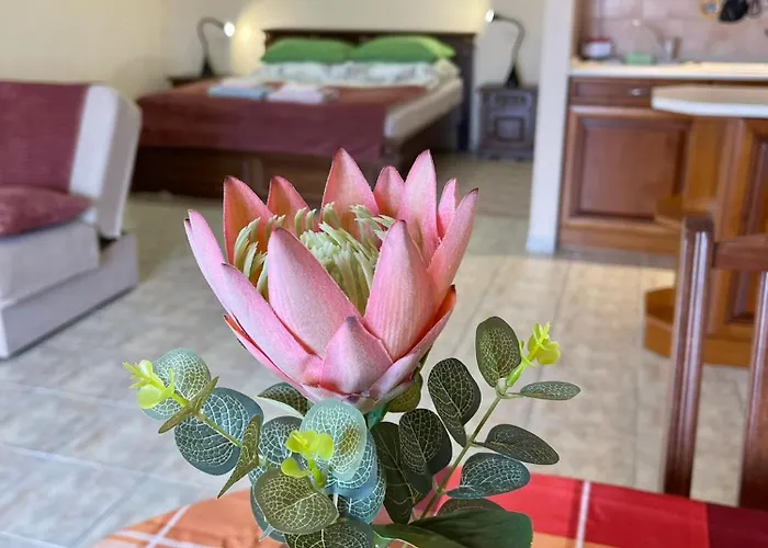 Savelij Appartamento